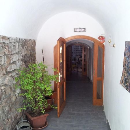 Pension Siesta Třeboň Exterior foto